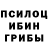 Псилоцибиновые грибы мухоморы Leonid Tabolin